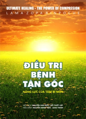 ĐIỀU TRỊ BỆNH TẬN GỐC NĂNG LỰC CỦA TÂM BI MẪN