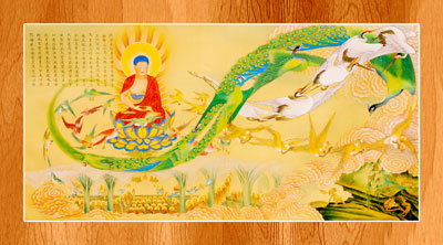 Amitabha-08